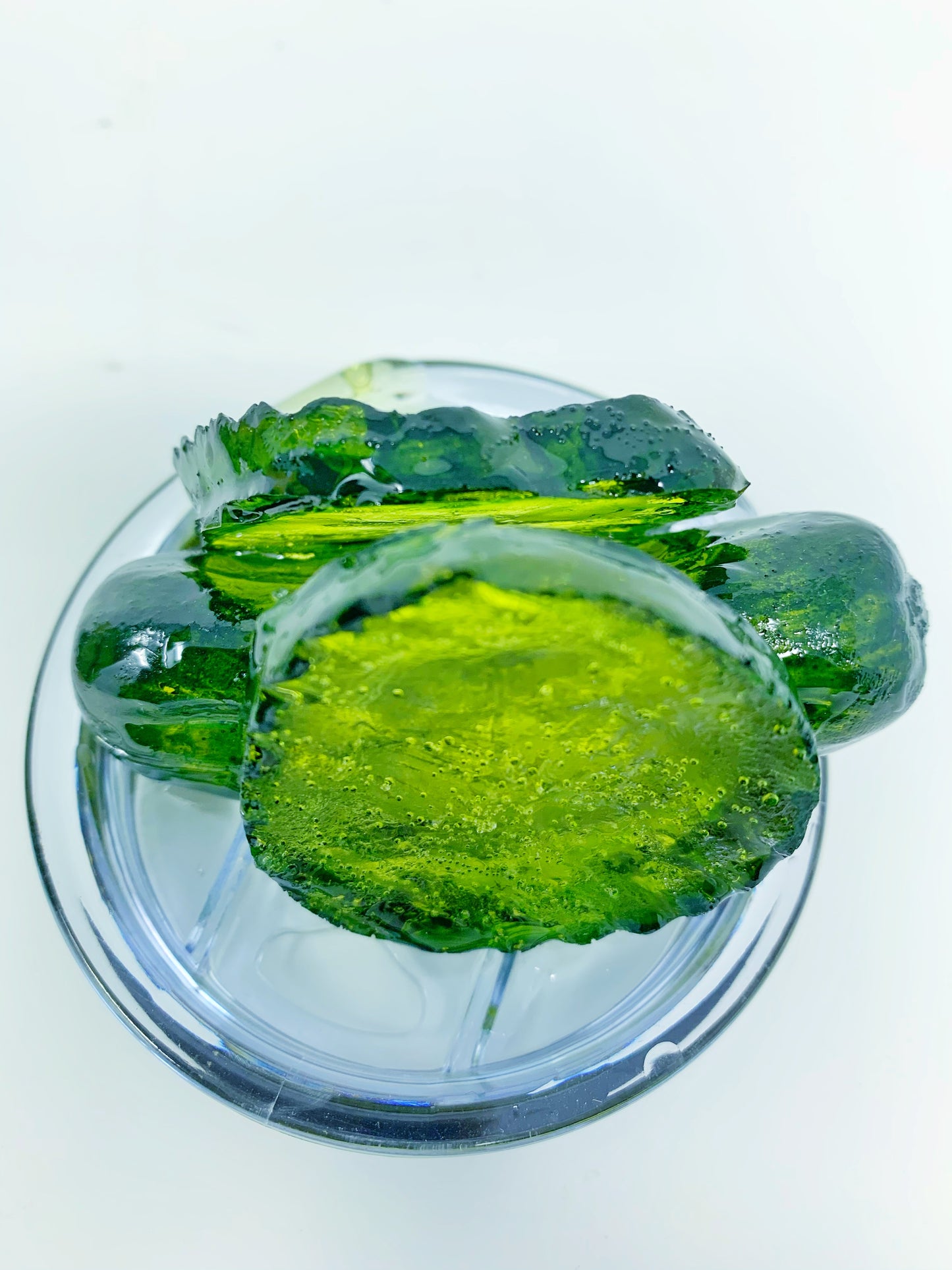 Pickle  Tumbler with 3D Lid- 20 oz.